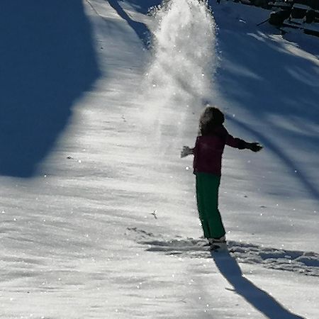 Zaovine Vikendica Moonlightヴィラ エクステリア 写真