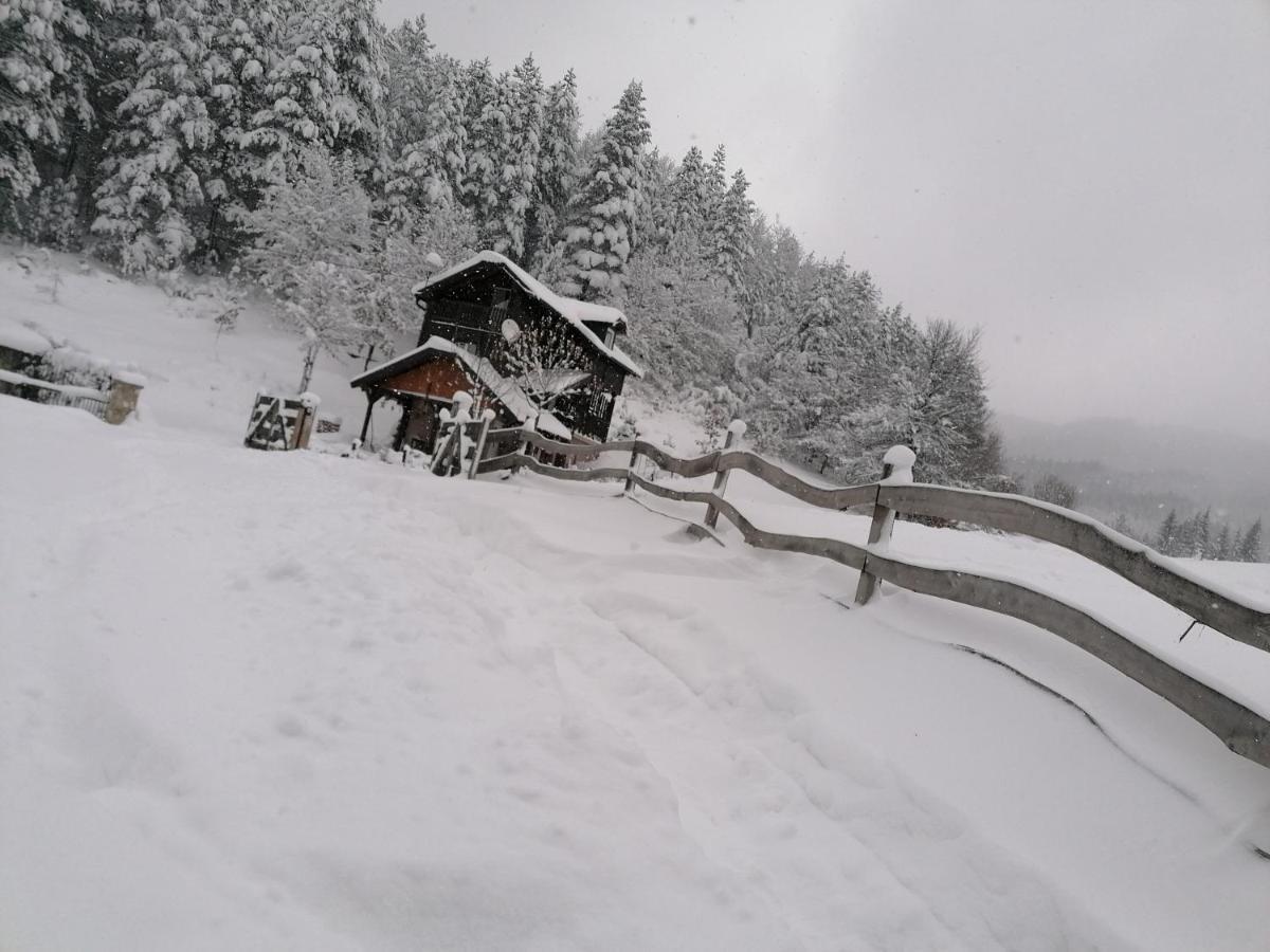 Zaovine Vikendica Moonlightヴィラ エクステリア 写真