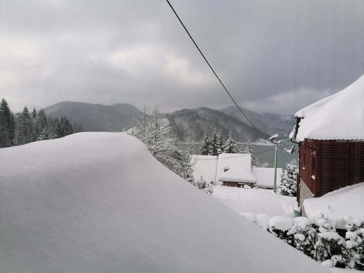 Zaovine Vikendica Moonlightヴィラ エクステリア 写真