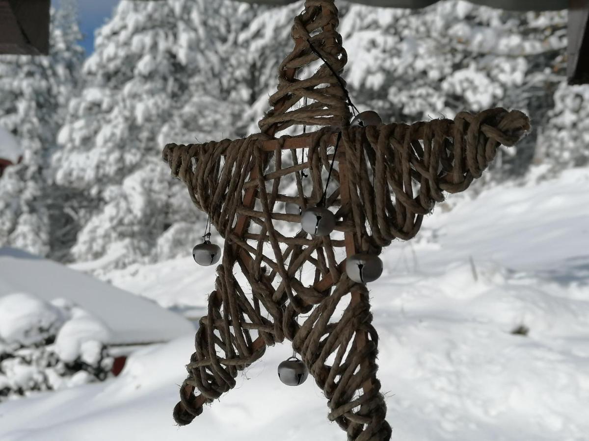 Zaovine Vikendica Moonlightヴィラ エクステリア 写真
